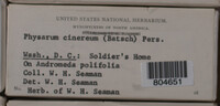 Image Associated With the Occurence